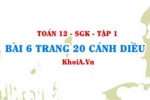 Bài 6 trang 20 Toán 12 tập 1 Cánh Diều